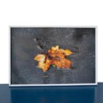 Obraz Marple