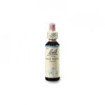 BACH Květová esence č. 27 Rock water 20 ml