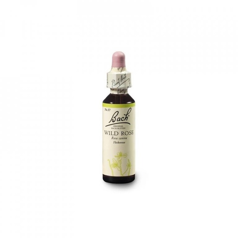 wild-rose BACH Květová esence č. 37 Wild rose 20 ml - Obrázek 1