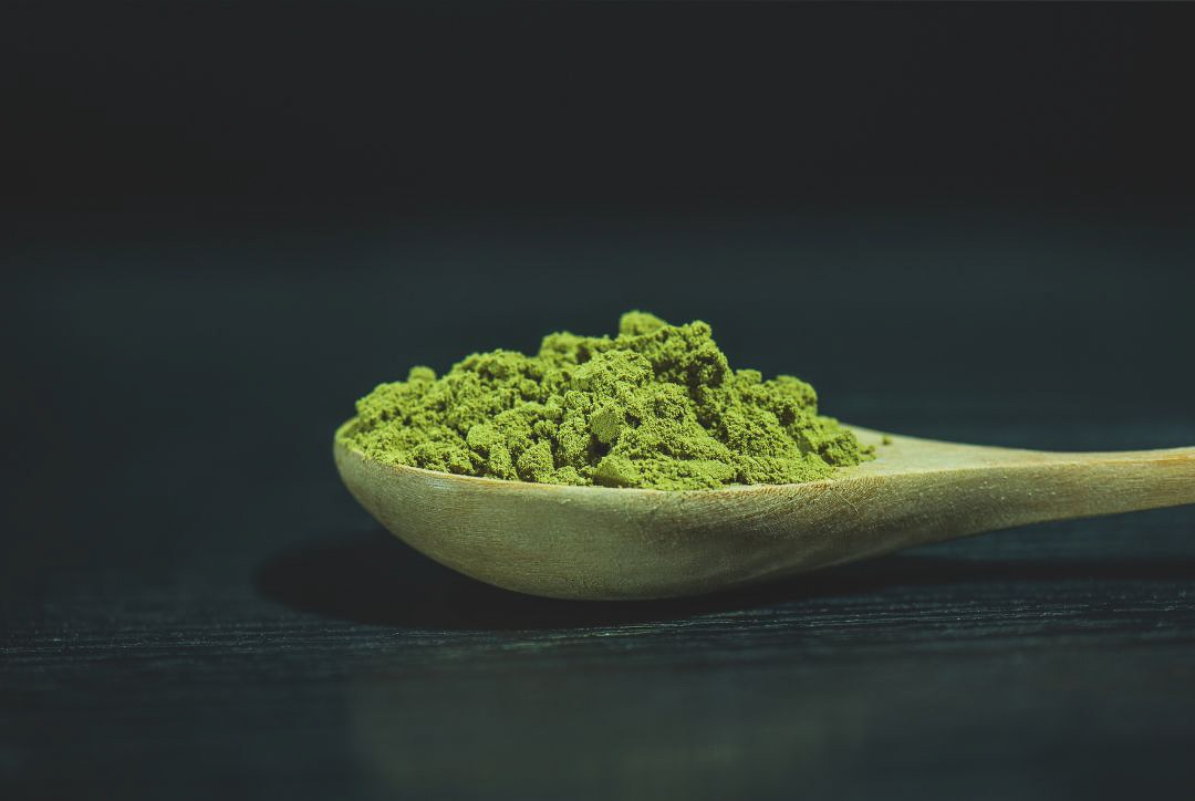 Matcha by Canva