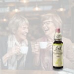 BACH Květová esence č. 16 Honeysuckle 20 ml - Obrázek 2