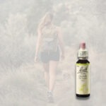 BACH Květová esence č. 23 Olive 20 ml - Obrázek 2