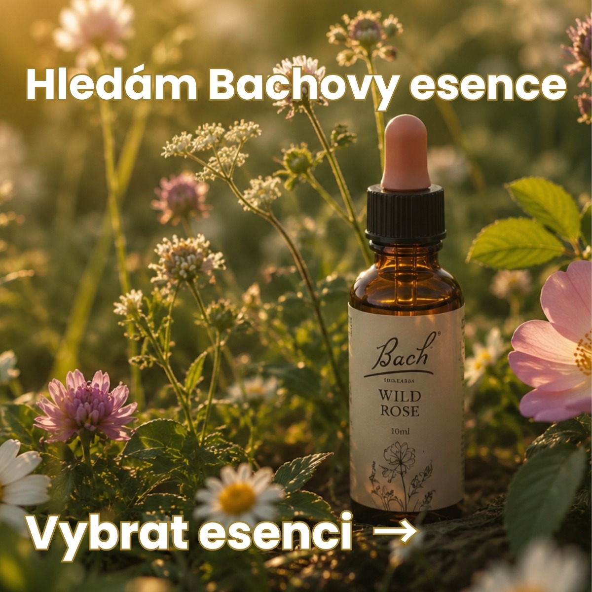 vybrat esenci