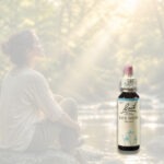 BACH Květová esence č. 27 Rock water 20 ml - Obrázek 2